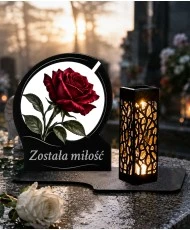 Róża — zdjęcie 4