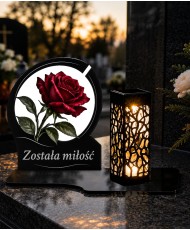 Róża — zdjęcie 3