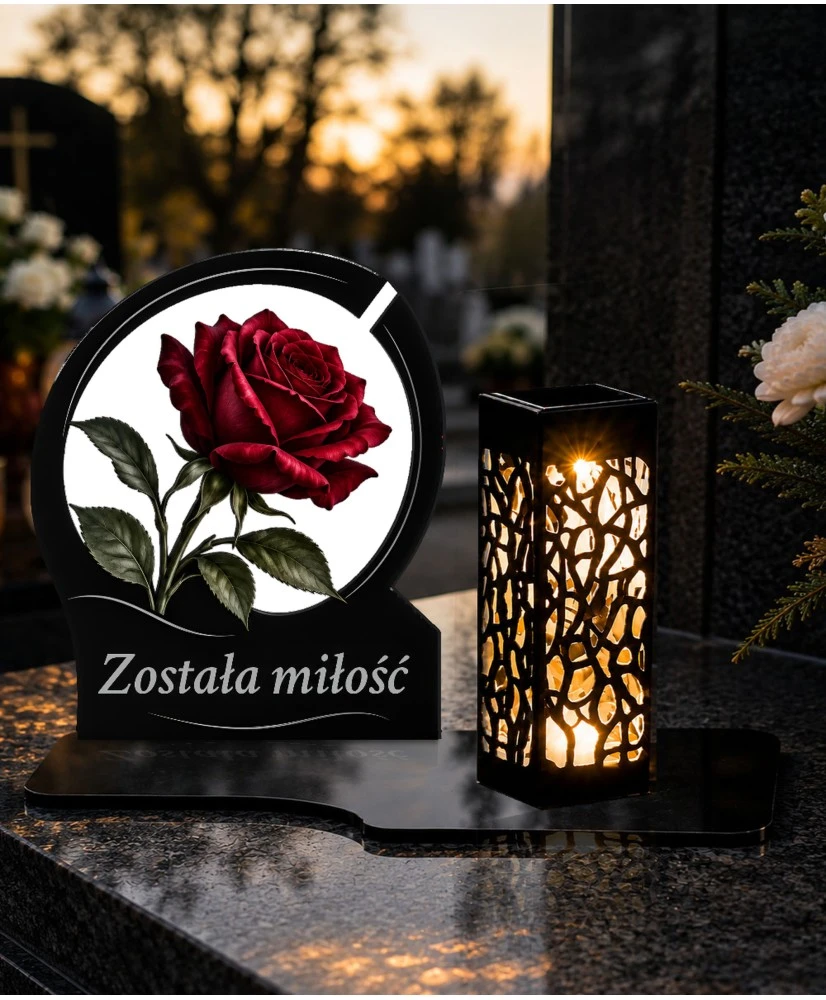 Róża — zdjęcie 3