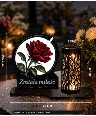Róża — zdjęcie 5