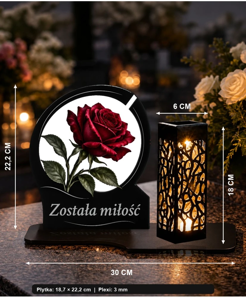 Róża — zdjęcie 5