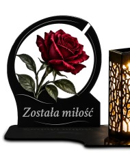 Róża — zdjęcie 2