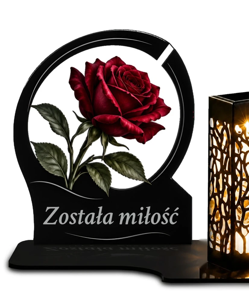 Róża — zdjęcie 2
