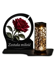 Róża — zdjęcie 1